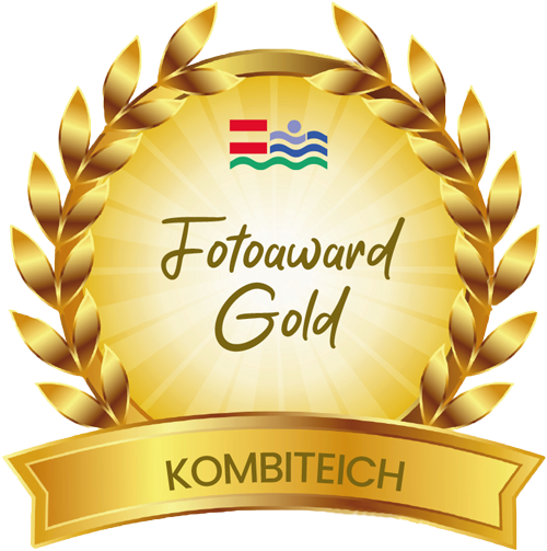 Fotoaward Kombiteich Gold