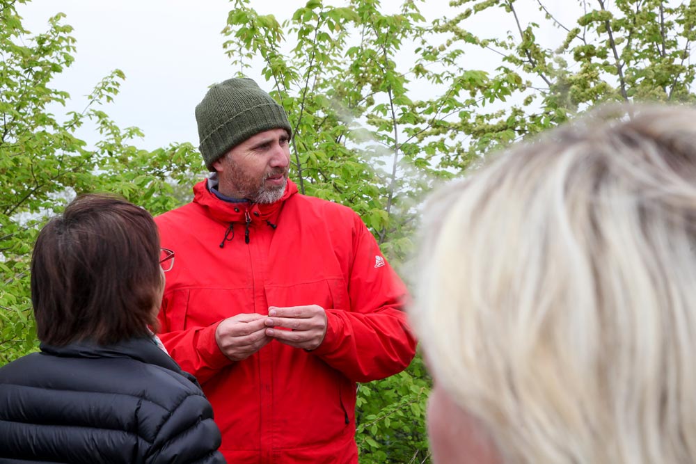 GM Joachim Kugler. MSc: Kräuterwanderungen
