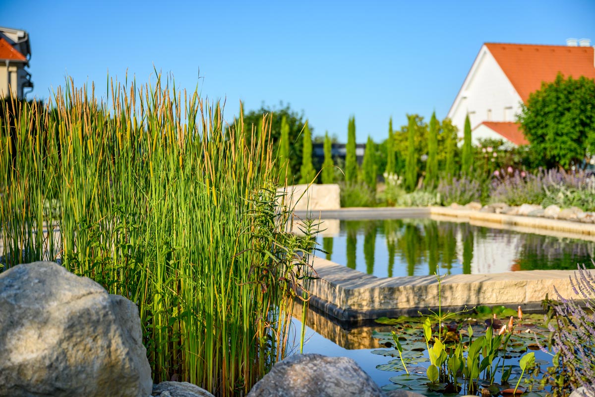 Gartengestaltung Burgenland, Naturpool Kombiteich