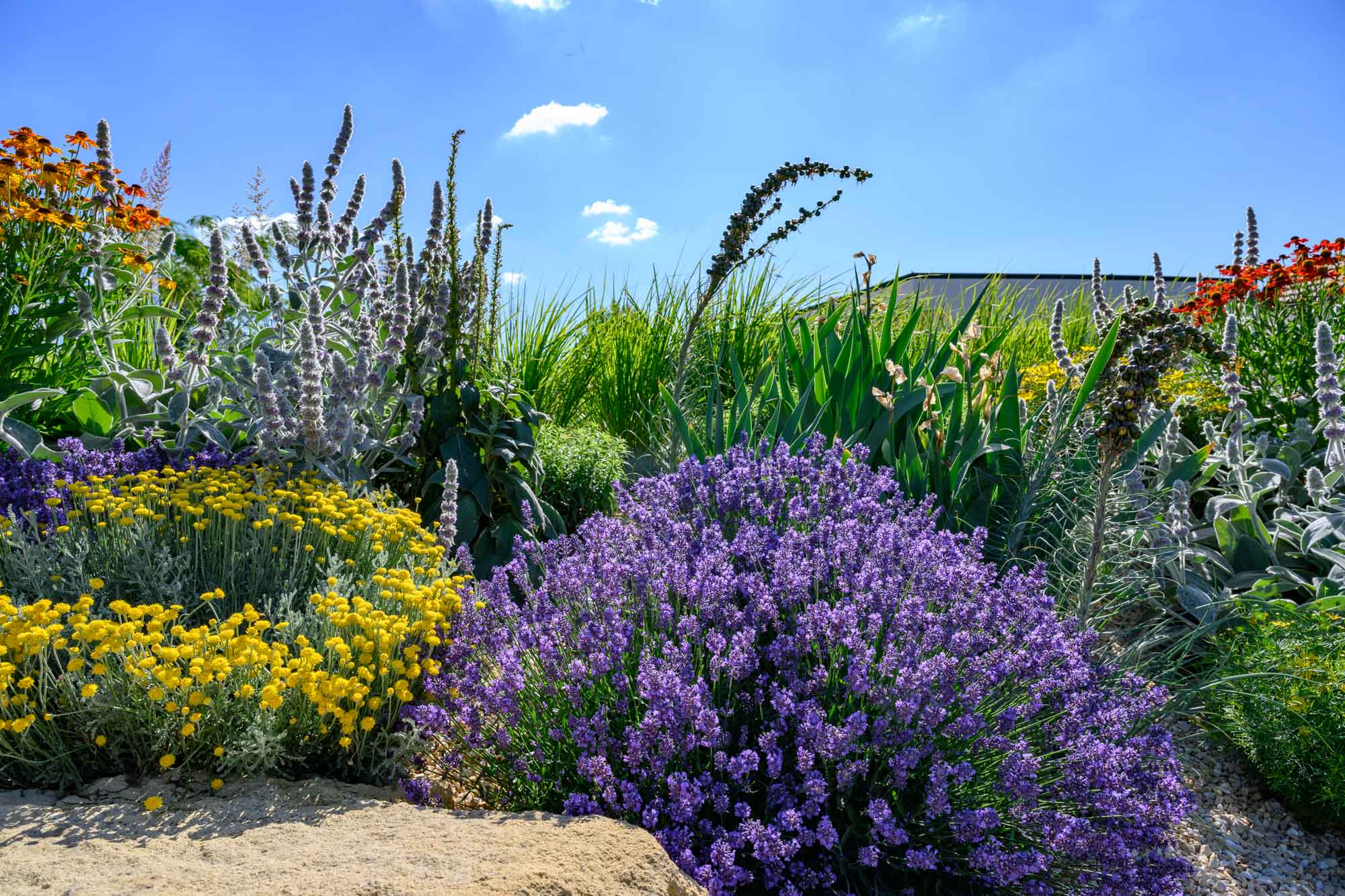 Gartengestaltung-Burgenland_DSC2054