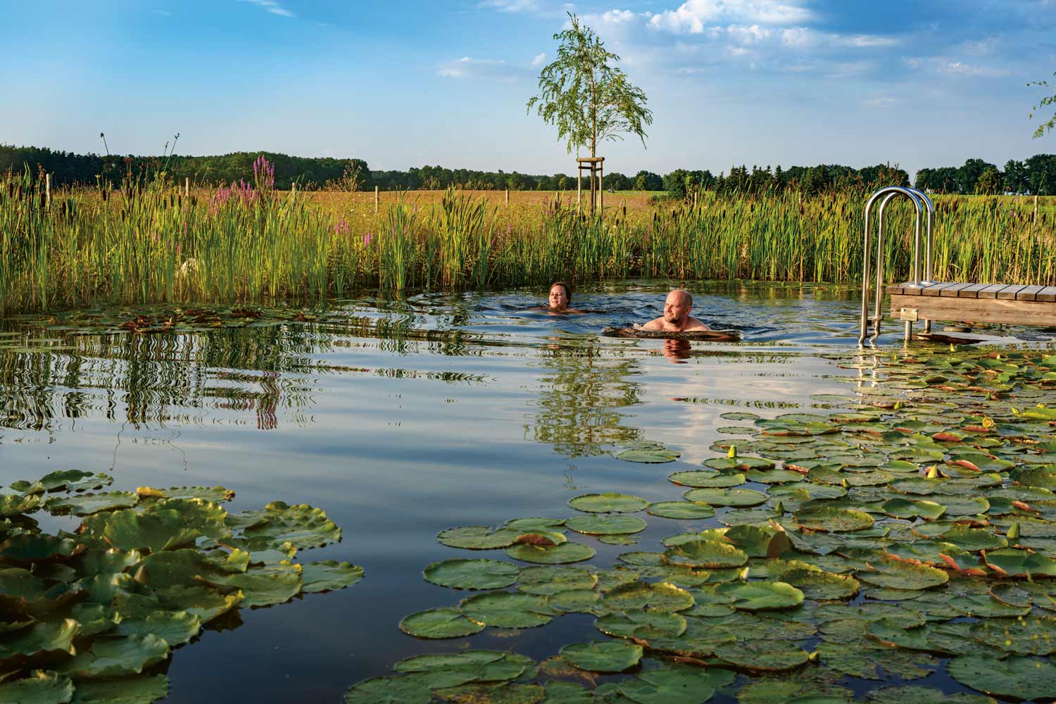 Wellness und Wassergärten