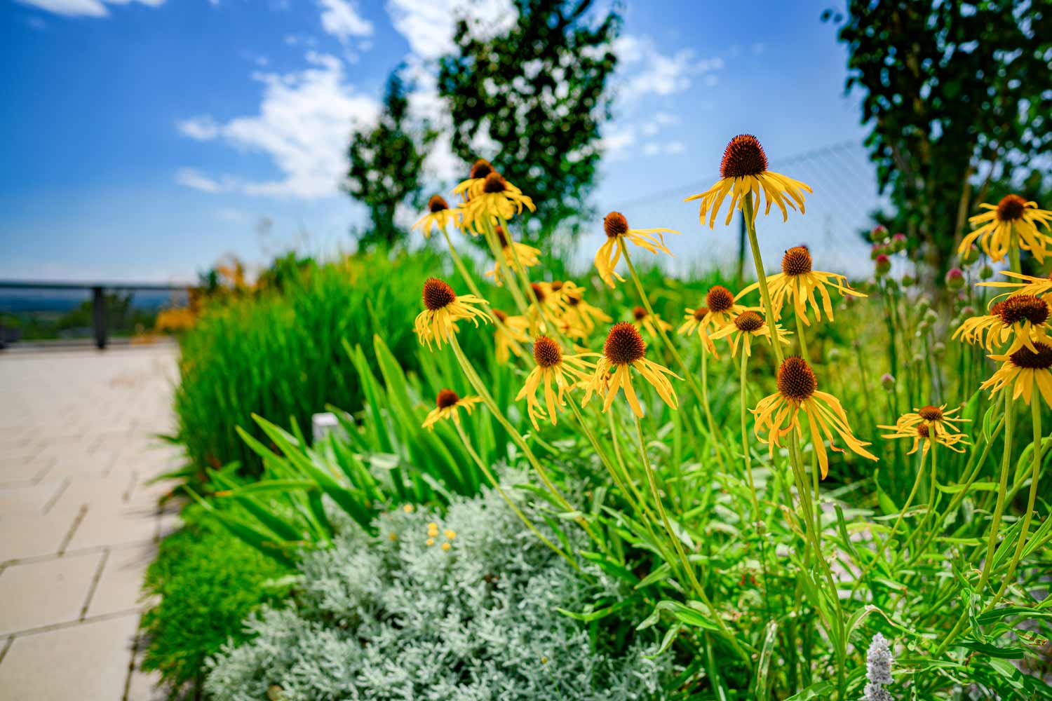 Gartengestaltung mit Pflanzen: Burgenland, Niederösterreich und Wien