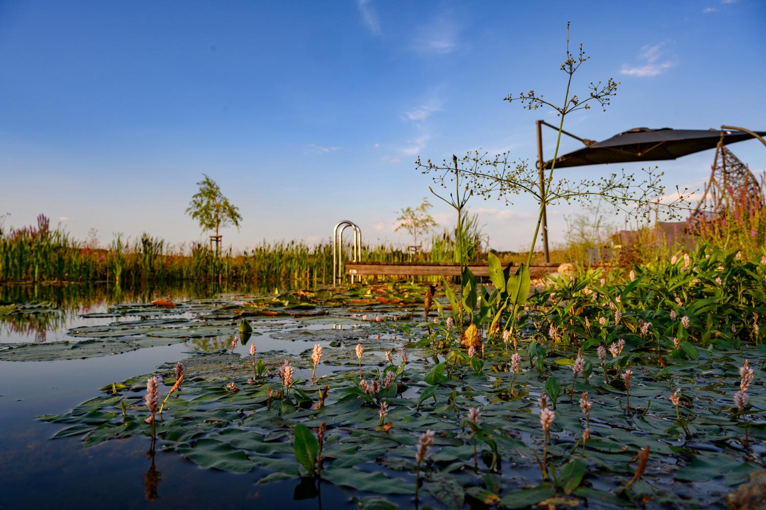 Oase: Gartenplanung-Gartengestaltung-Gartenpflege, Burgenland