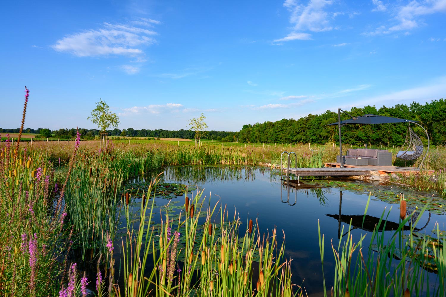 Oase: Gartenplanung-Gartengestaltung-Gartenpflege, Burgenland