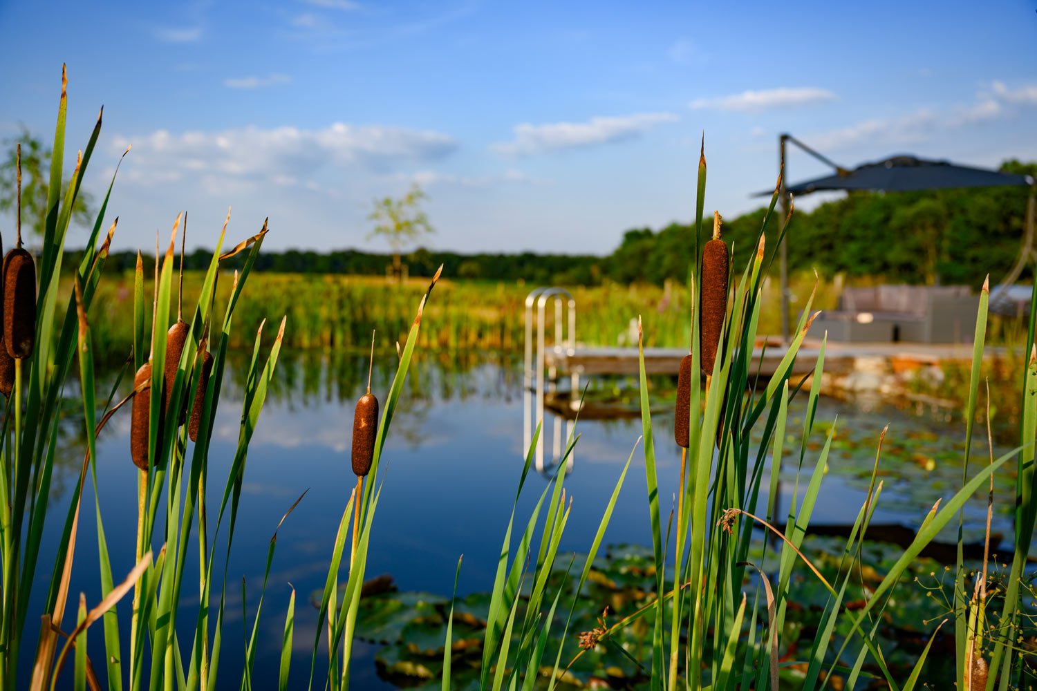 Oase: Gartenplanung-Gartengestaltung-Gartenpflege, Burgenland