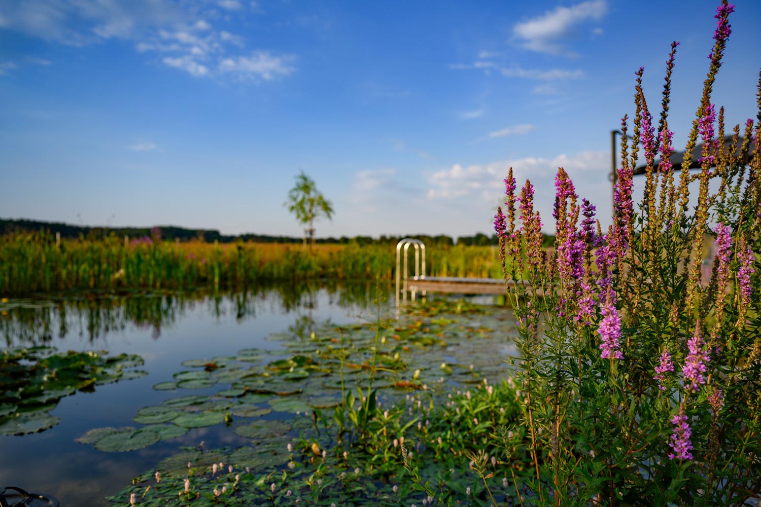 Oase: Gartenplanung-Gartengestaltung-Gartenpflege, Burgenland