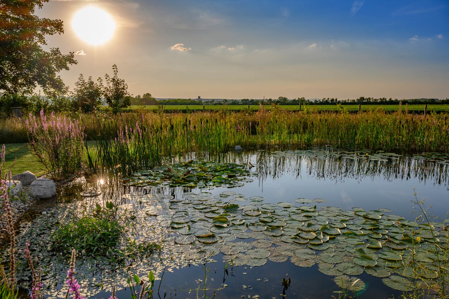 Oase: Gartenplanung-Gartengestaltung-Gartenpflege, Burgenland