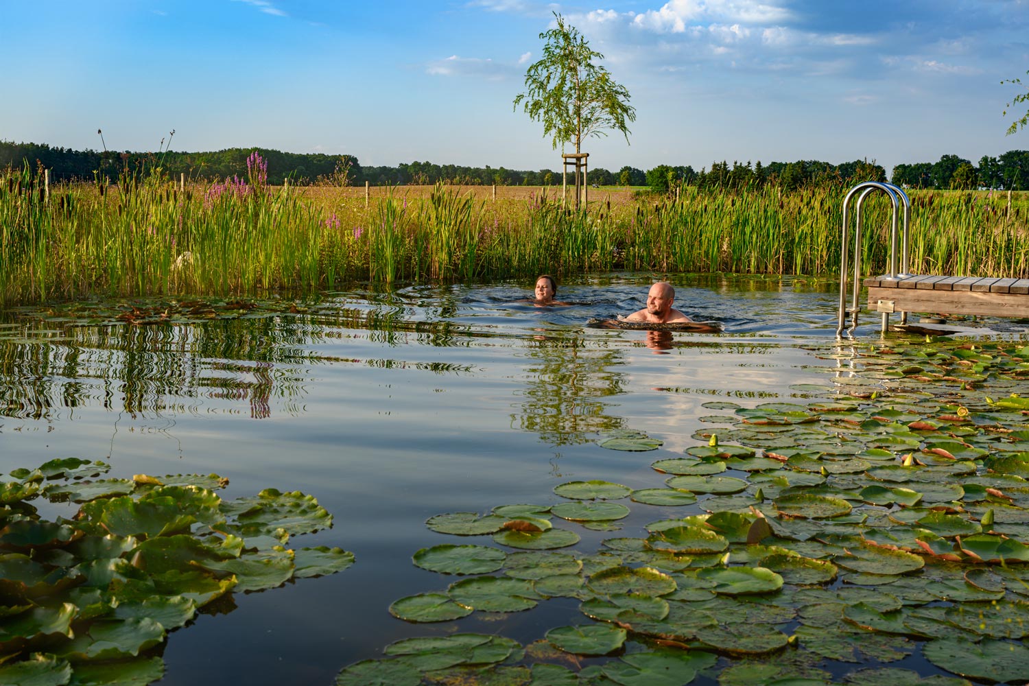 Oase: Gartenplanung-Gartengestaltung-Gartenpflege, Burgenland