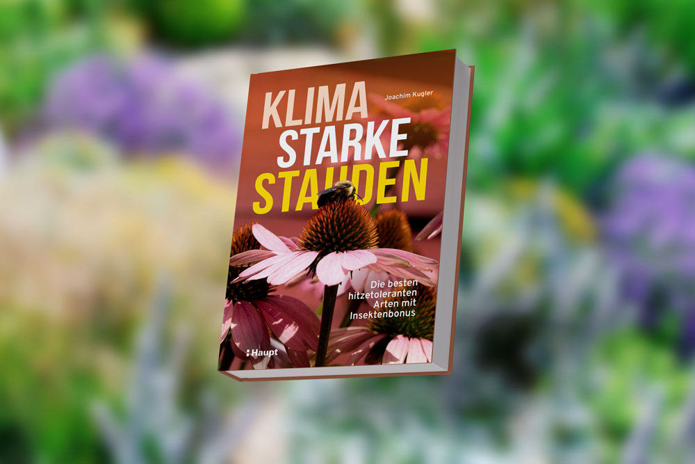 Klimastarke Stauden von Joachim Kugler, Verlag Haupt