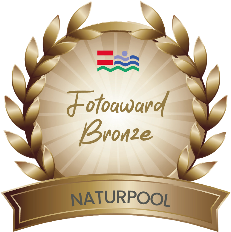 NP-Bronze