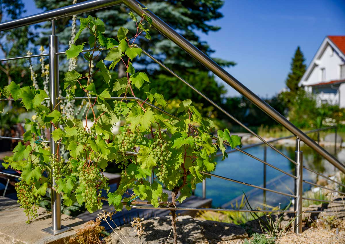 Naturpool mit Aussengestaltung, Planung und Ausführung Burgenland