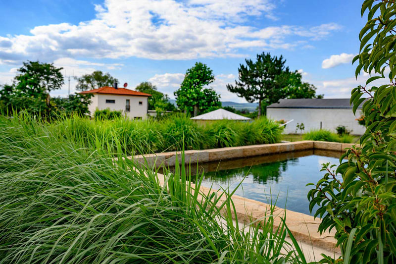 Naturpool und Bienen, Gartenplanung-Gartengestaltung-Gartenpflege-Burgenland
