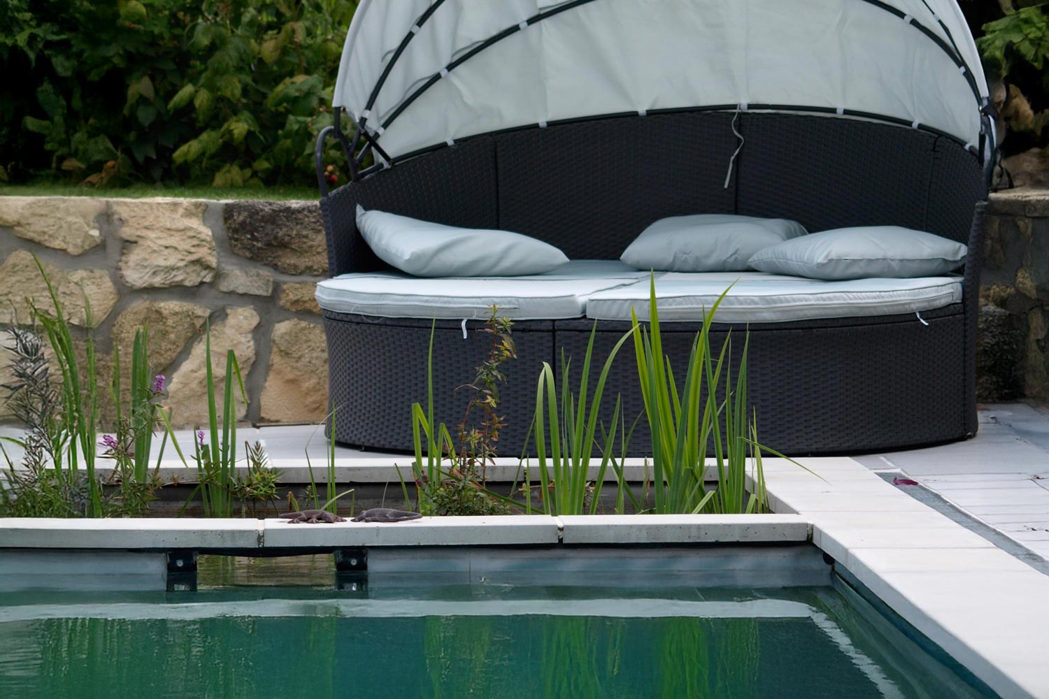 Naturpool: Planung und Ausführung
