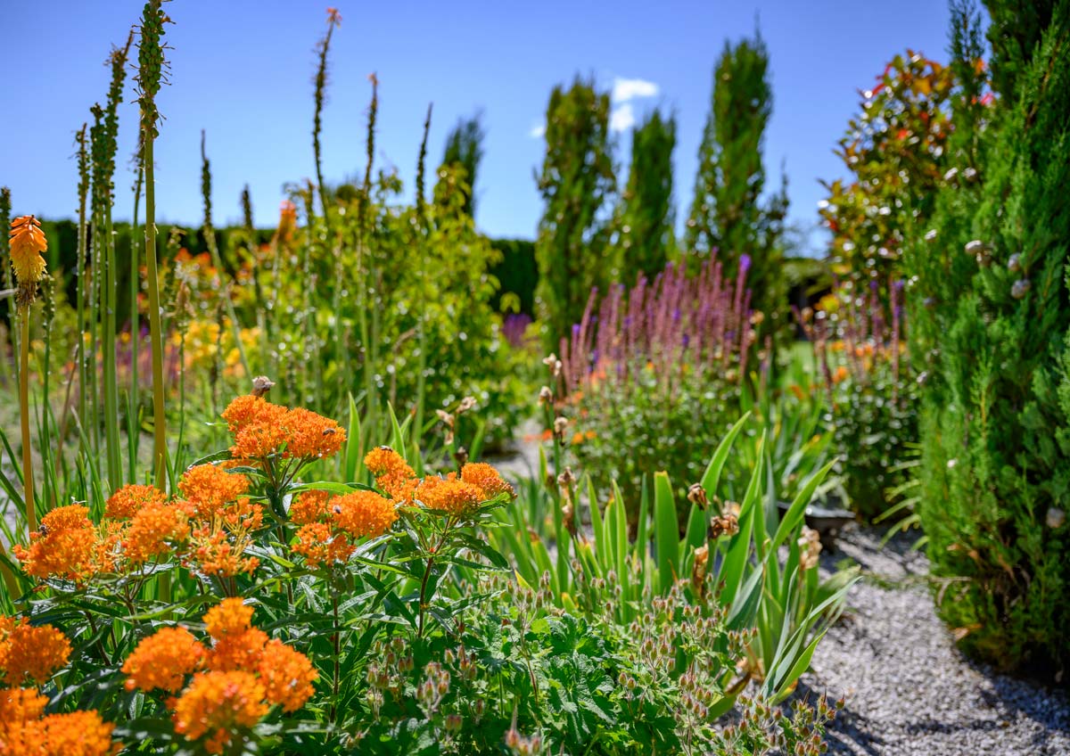 Naturpool: Planung und Ausführung (Burgenland)