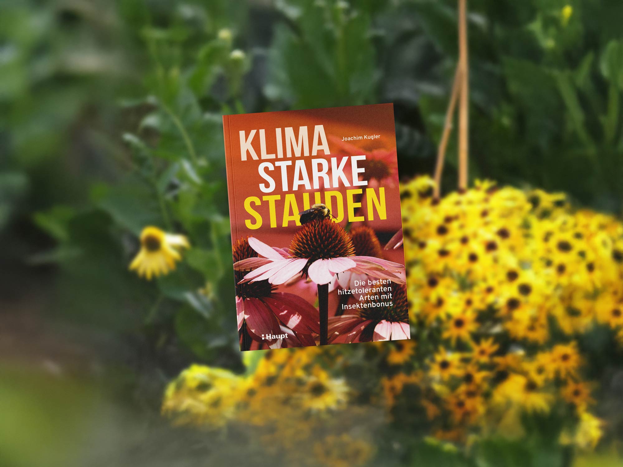 Buch: Klimastarke Stauden von Joachim Kugler, MSc