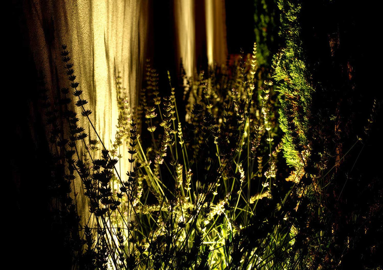Mediterrane Gartengestaltung im Burgenland