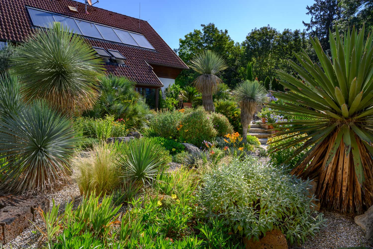 Mediterrane Gartengestaltung im Burgenland