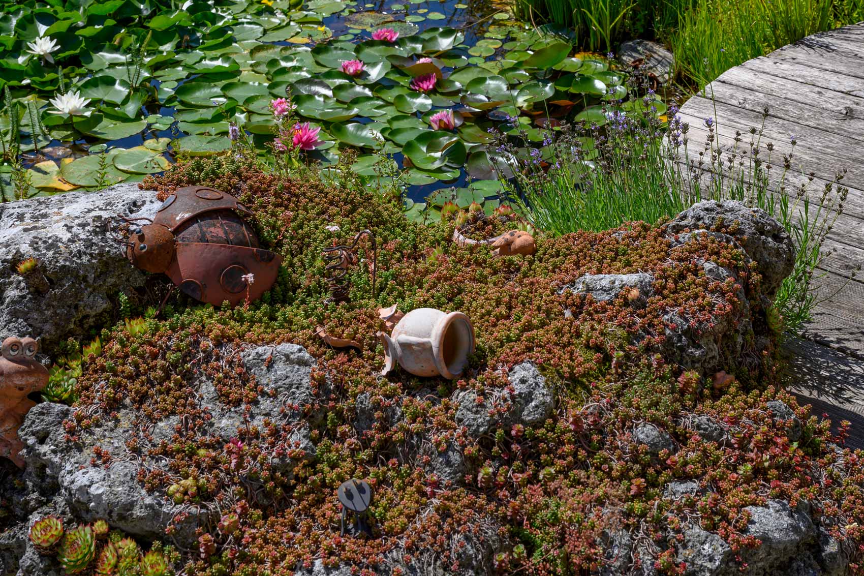 Naturpool Planung Burgenland