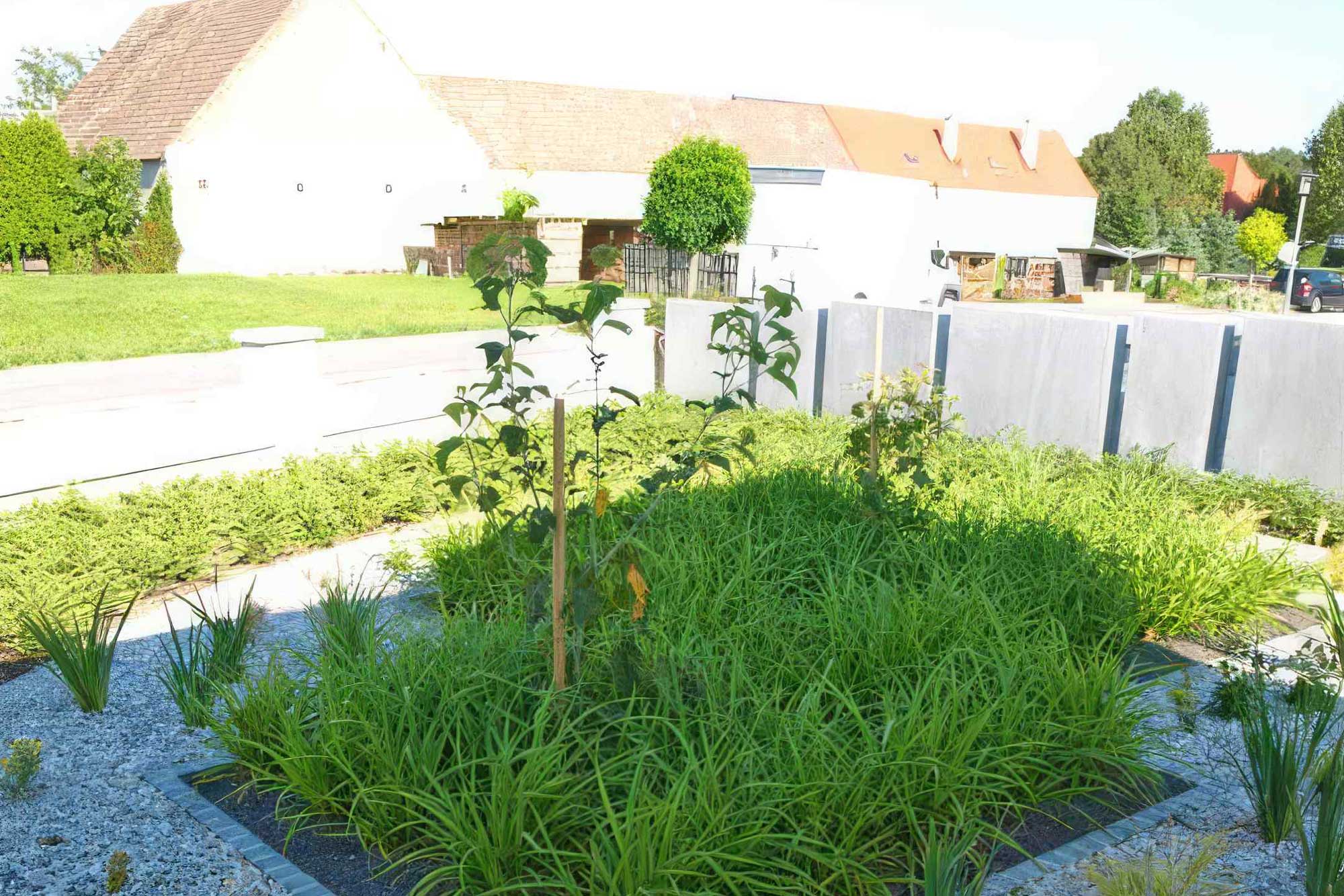 Gartengestaltung: Vorgarten