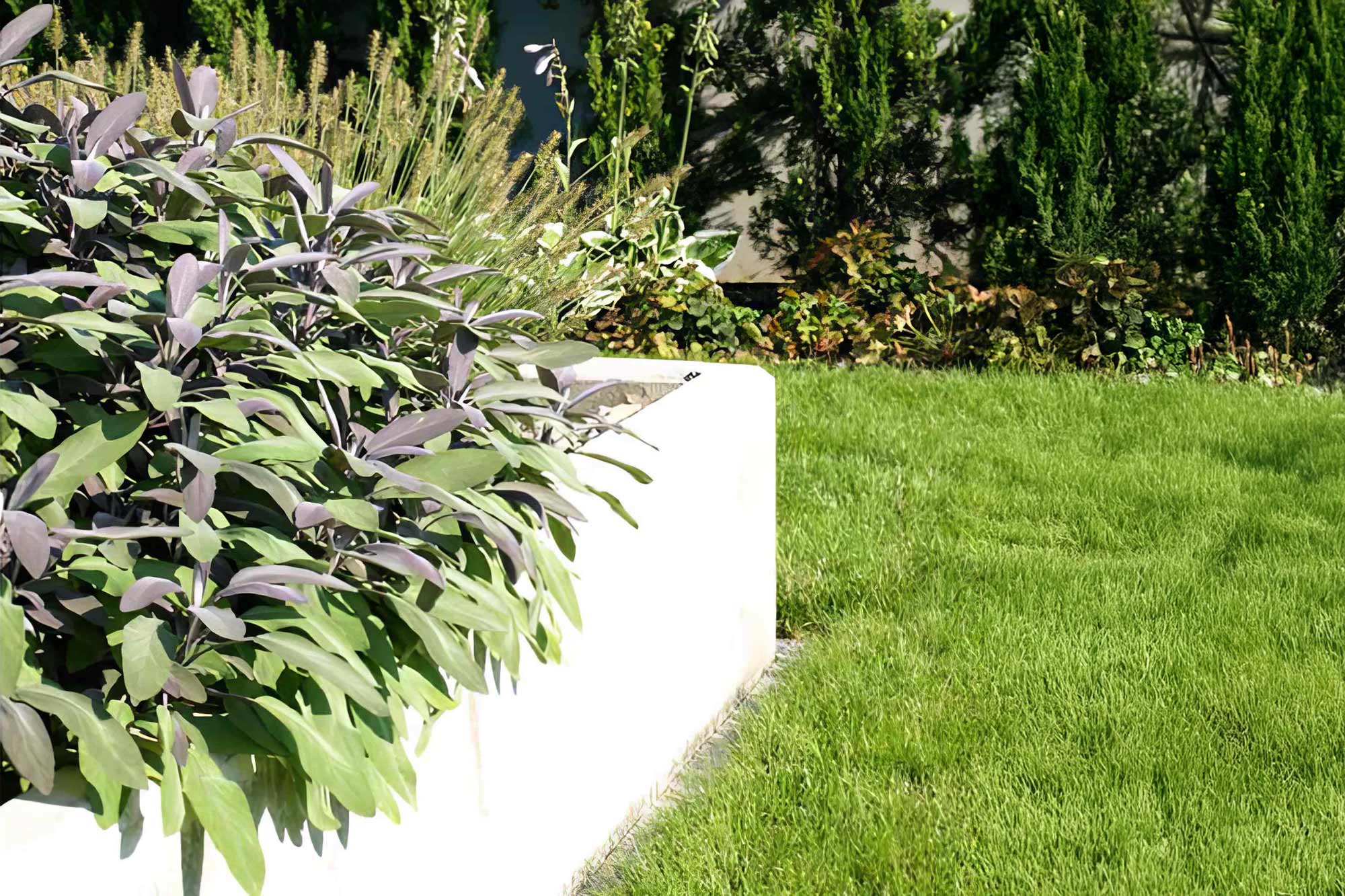 Gartengestaltung: Vorgarten