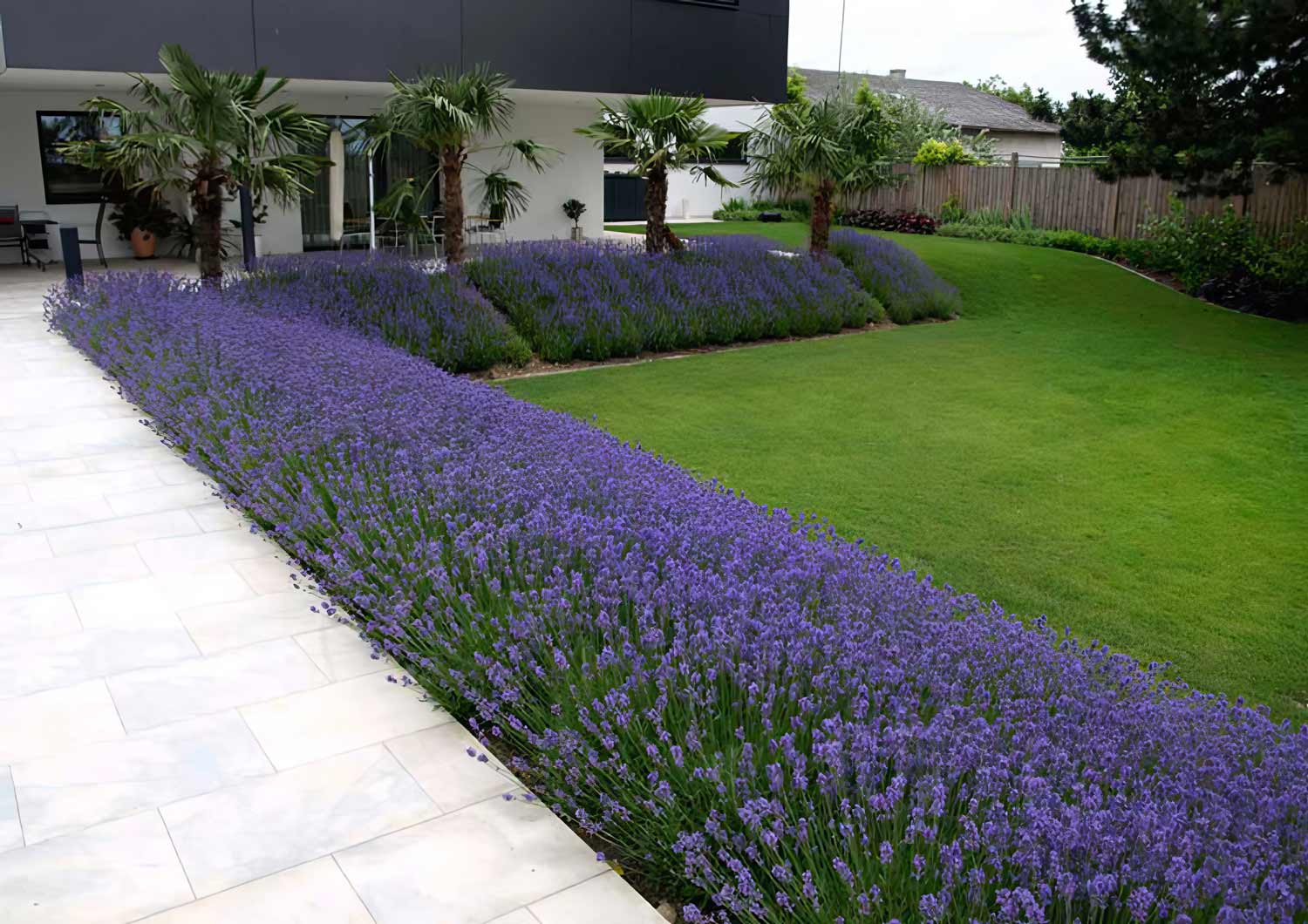 Gartenplanung: Mediterraner Innenhof im Burgenland