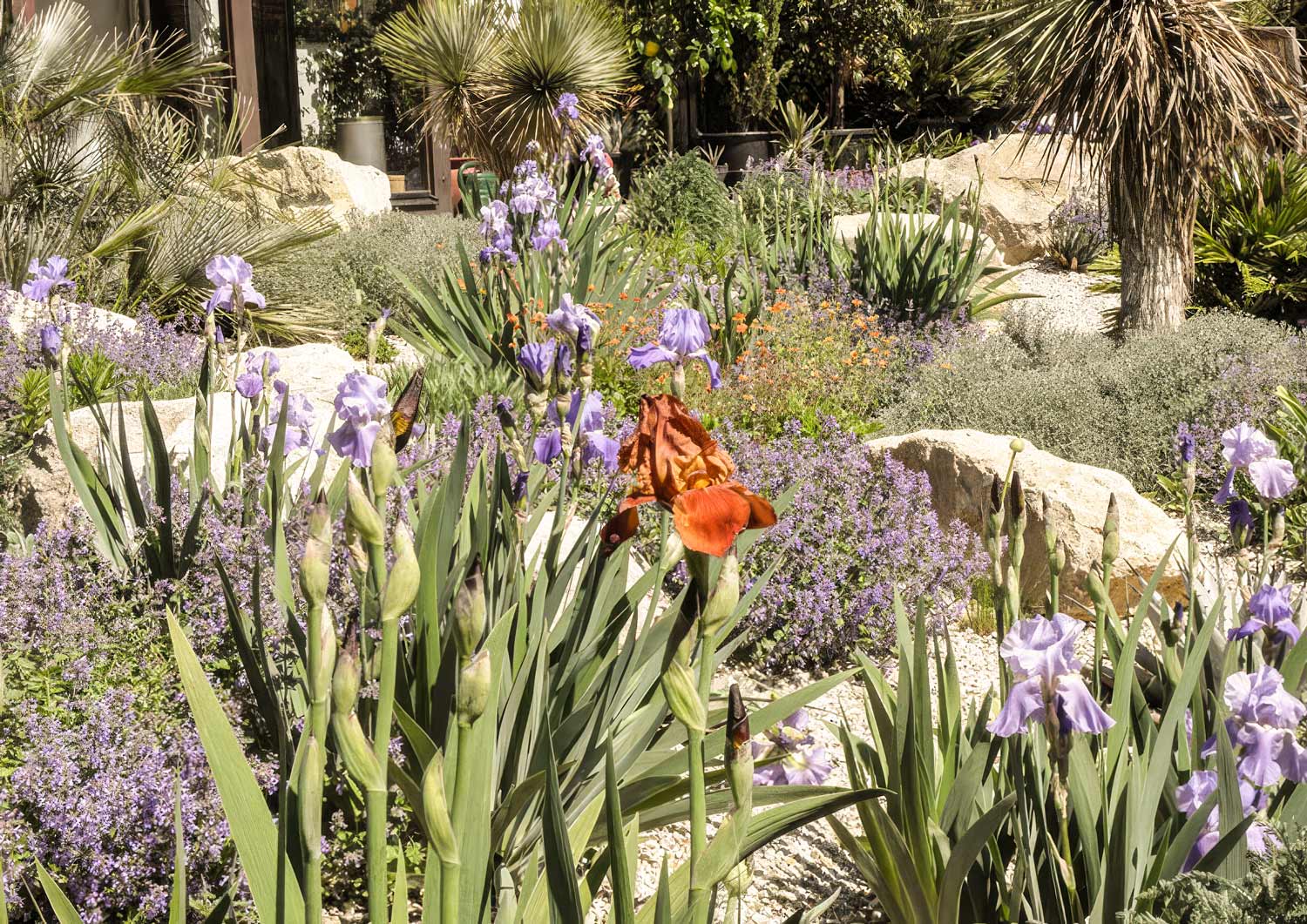 Mediterrane Gartengestaltung im Burgenland