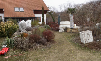Mediterrane Gartengestaltung im Burgenland