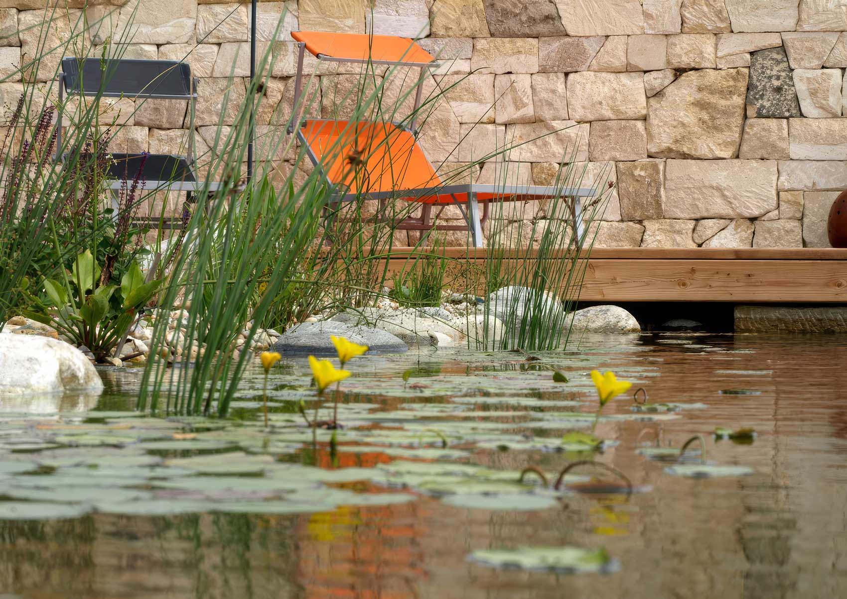 Naturpool Planung Burgenland
