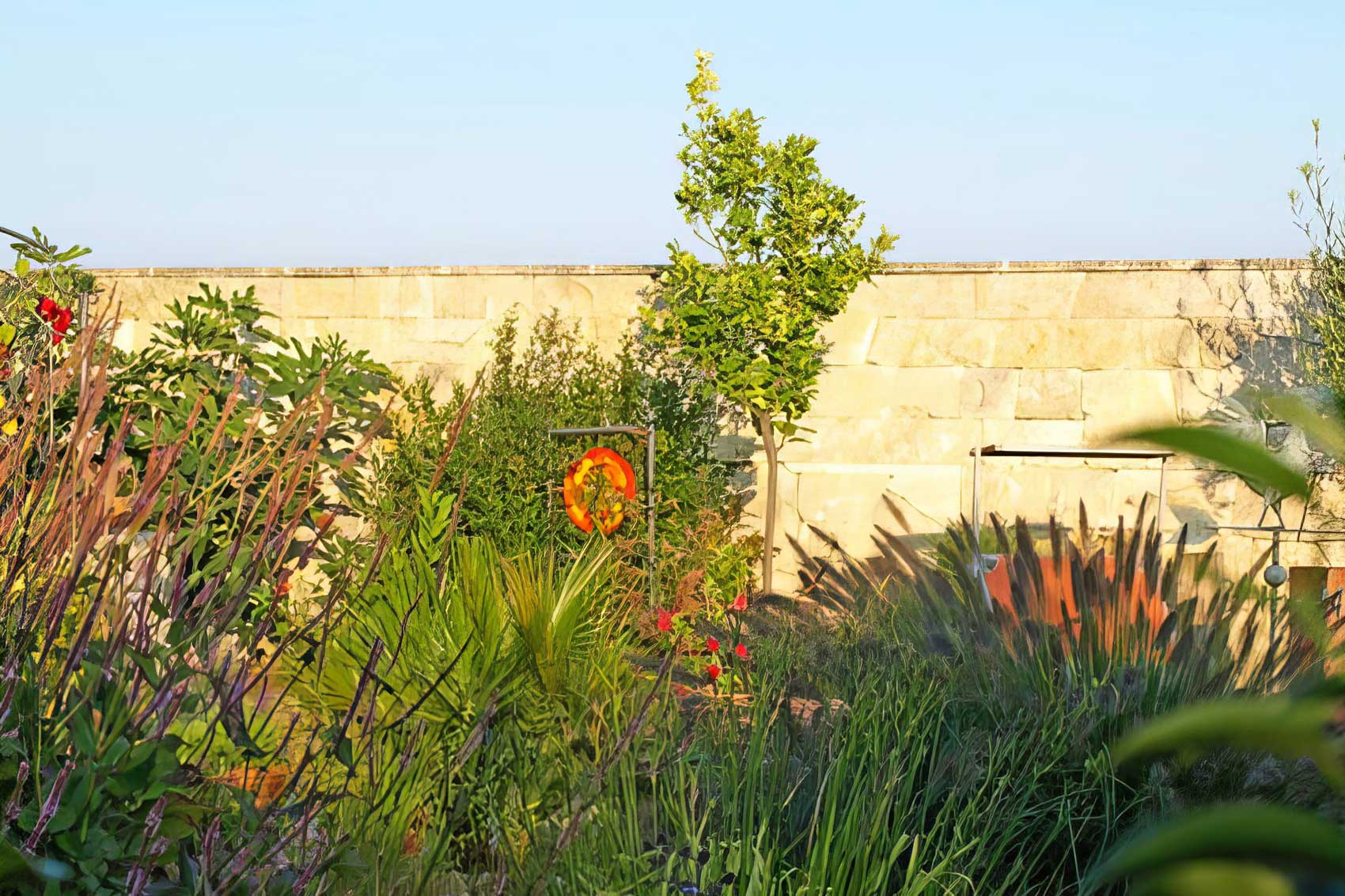 Naturpool Planung Burgenland