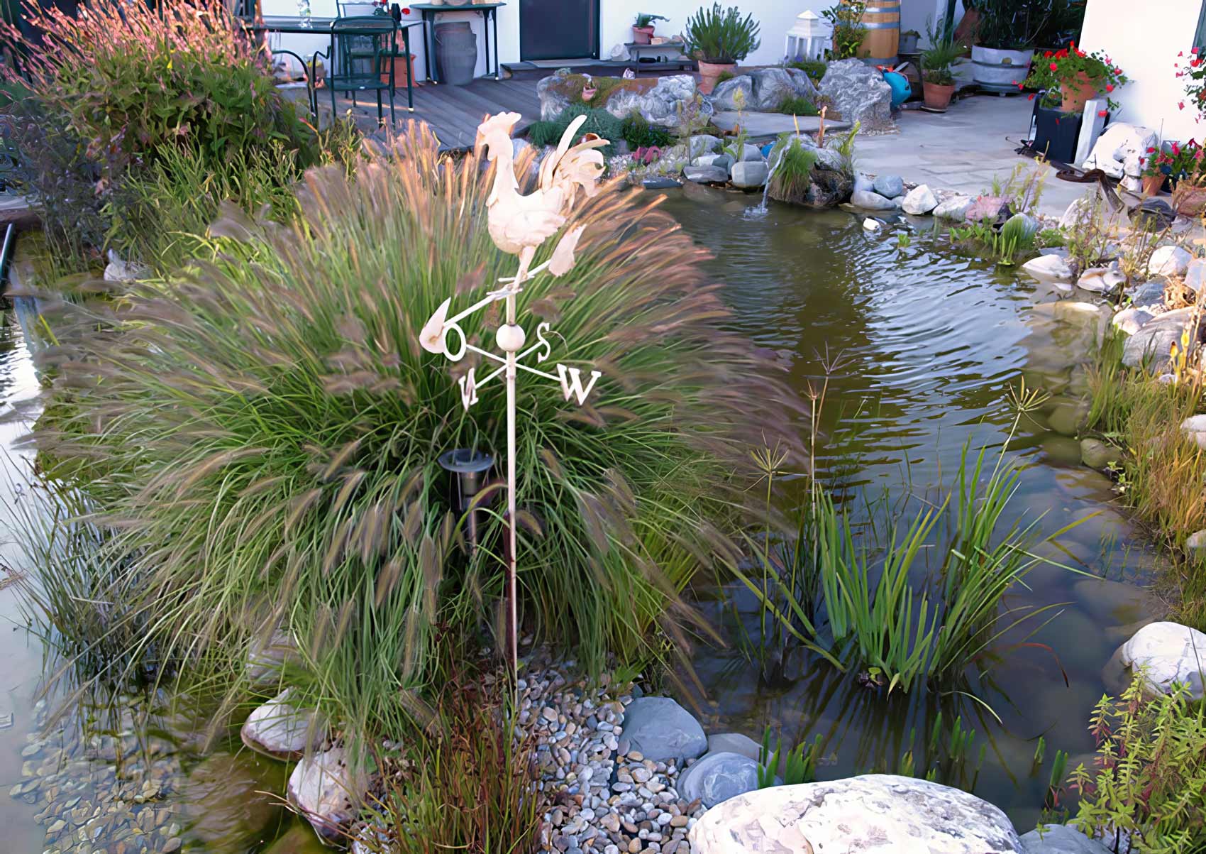 Naturpool Planung Burgenland