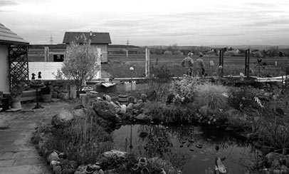Naturpool Planung Burgenland