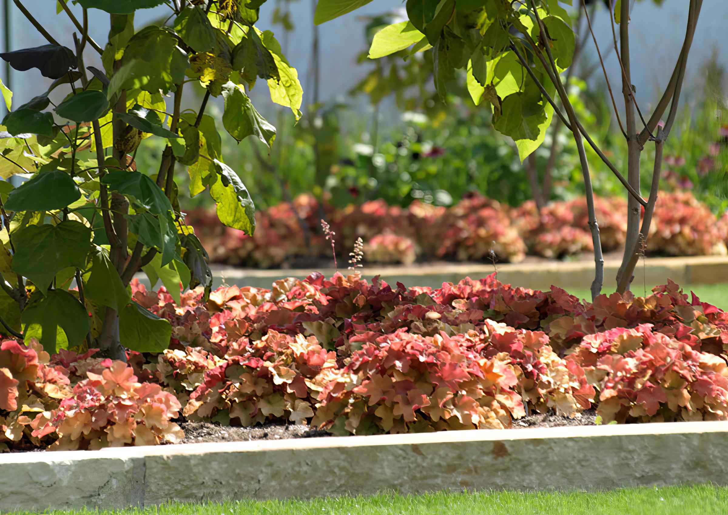 Gartenplanung, -gestaltung: Polygongarten