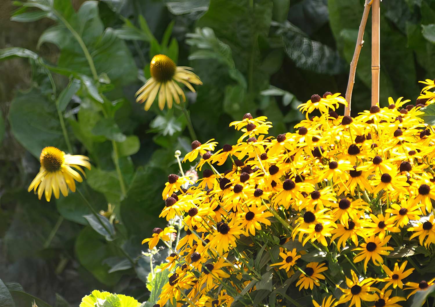 Gartenplanung und Gartengestaltung Burgenland: Kneippbecken