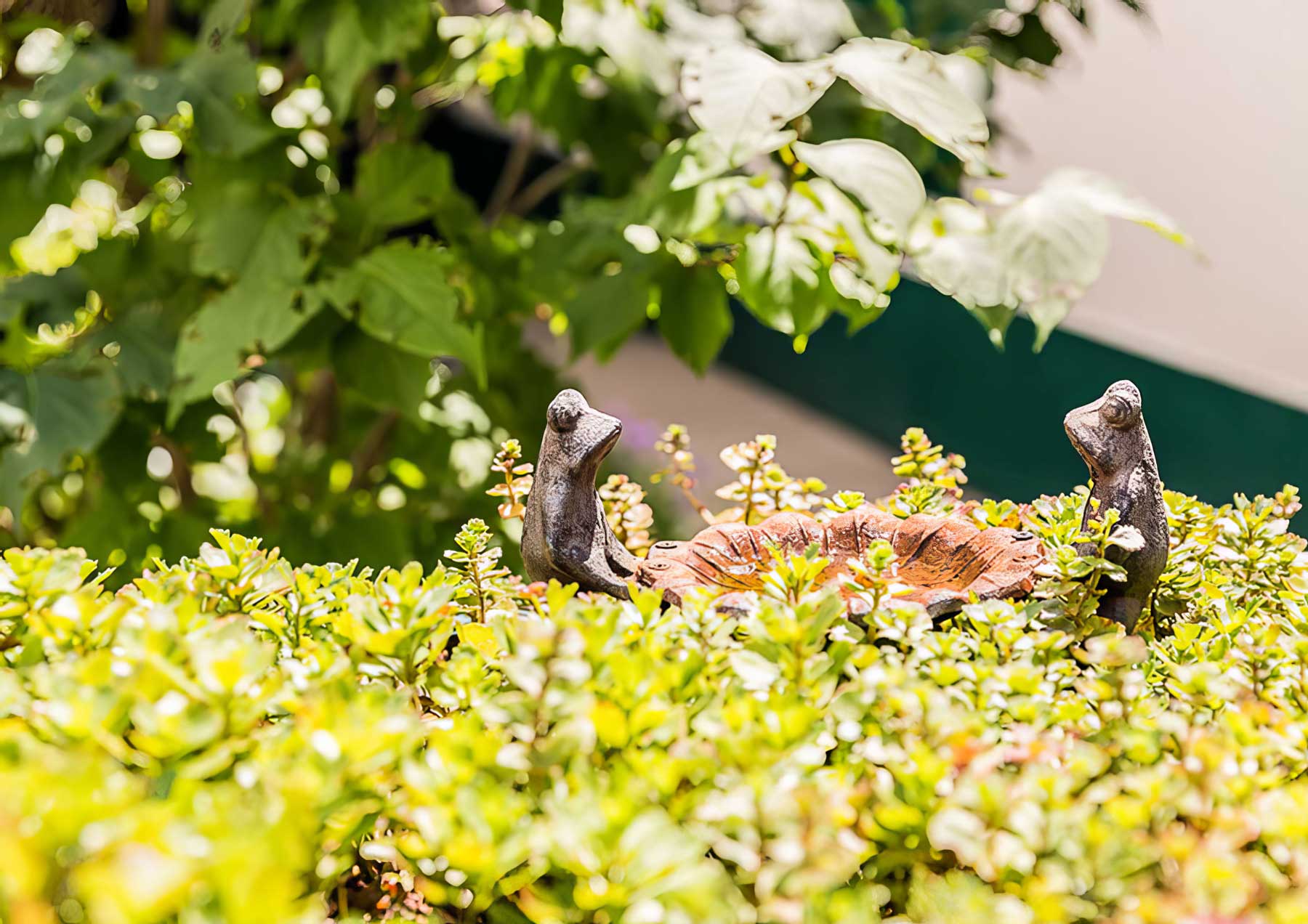 Gartenprojekt Burgenland: Privatgarten / Atrium